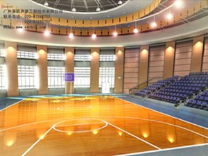 體育館聲學設計裝飾